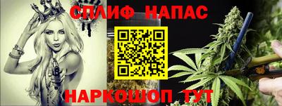крисы Славгород