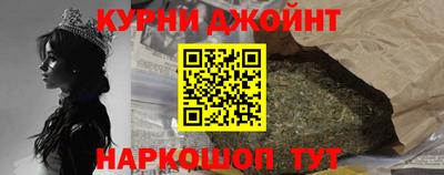 крисы Славгород