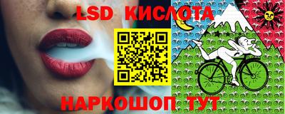 крисы Славгород