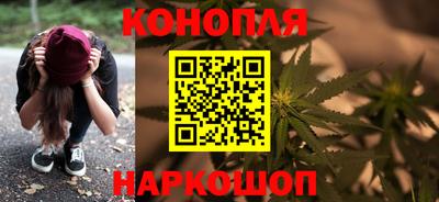 крисы Славгород