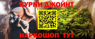 крисы Славгород